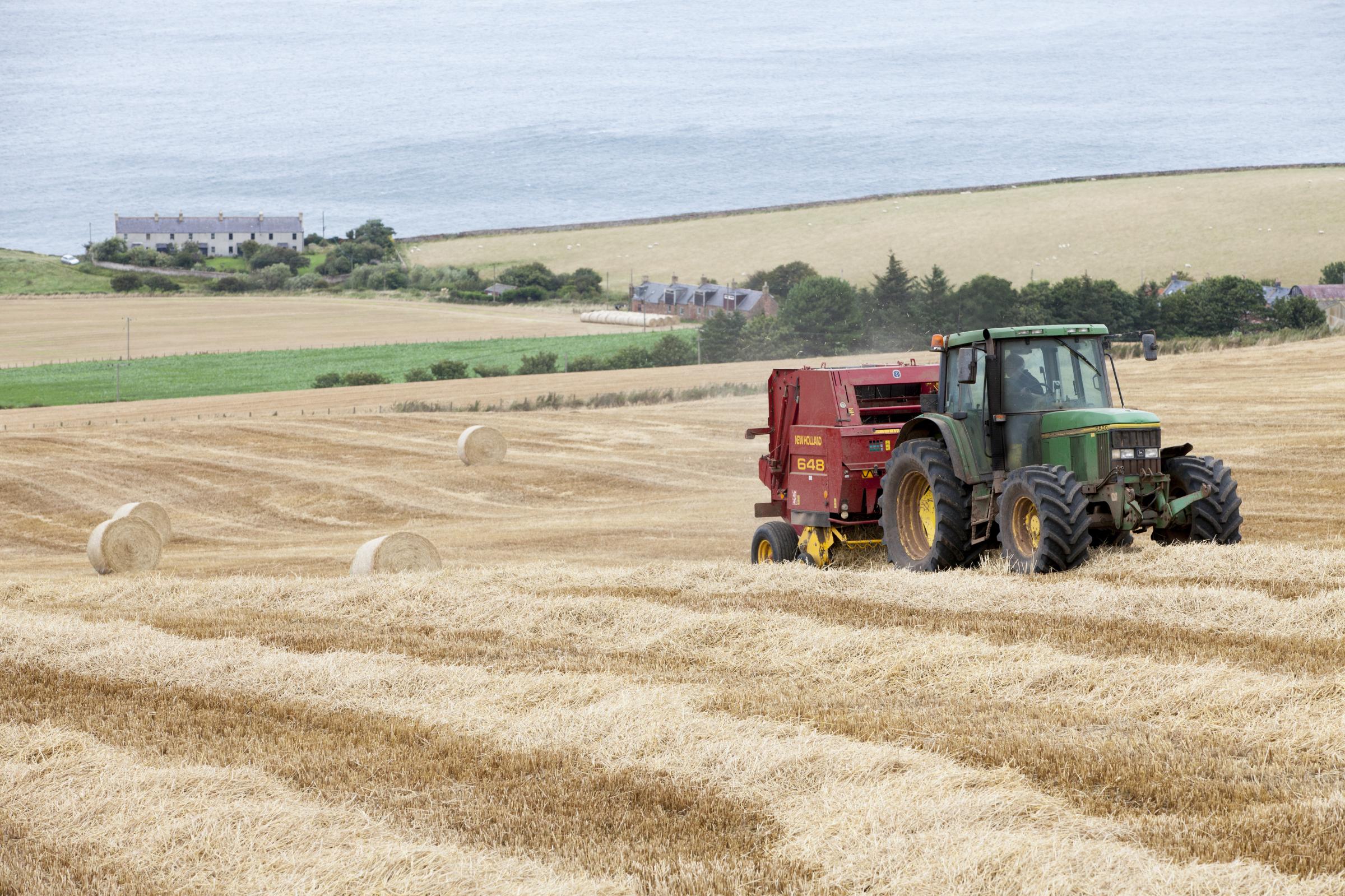 Scottish farming faces a massacre without a swift return to the EU